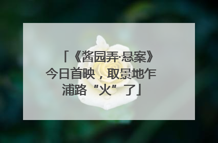 《酱园弄·悬案》今日首映，取景地乍浦路“火”了