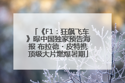 《F1：狂飙飞车》曝中国独家预告海报 布拉德・皮特携顶级大片燃爆暑期