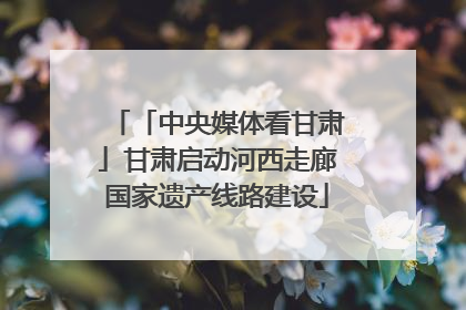 「中央媒体看甘肃」甘肃启动河西走廊国家遗产线路建设