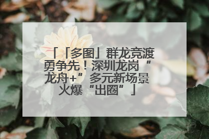 「多图」群龙竞渡勇争先！深圳龙岗“龙舟+”多元新场景火爆“出圈”