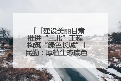 「建设美丽甘肃 推进“三北”工程 构筑“绿色长城”」民勤：厚植生态底色 筑牢绿色屏障