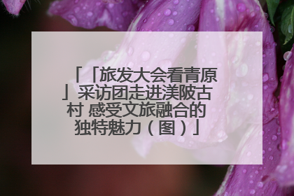 「旅发大会看青原」采访团走进渼陂古村 感受文旅融合的独特魅力（图）