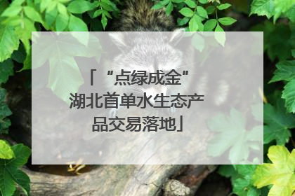 “点绿成金” 湖北首单水生态产品交易落地