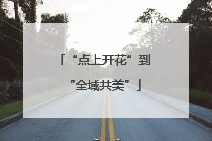 “点上开花”到“全域共美”