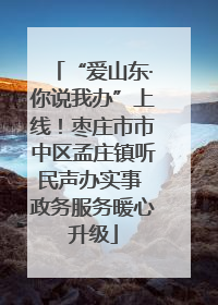 “爱山东·你说我办”上线！枣庄市市中区孟庄镇听民声办实事 政务服务暖心升级