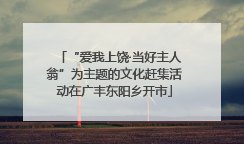 “爱我上饶·当好主人翁”为主题的文化赶集活动在广丰东阳乡开市