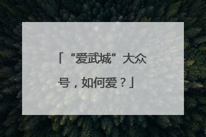 “爱武城”大众号，如何爱？
