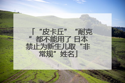 “皮卡丘”“耐克”都不能用了 日本禁止为新生儿取“非常规”姓名