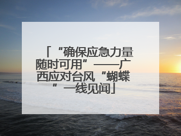 “确保应急力量随时可用”——广西应对台风“蝴蝶”一线见闻