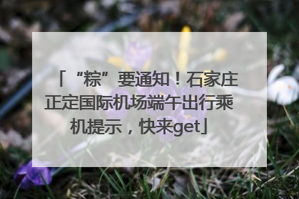 “粽”要通知！石家庄正定国际机场端午出行乘机提示，快来get