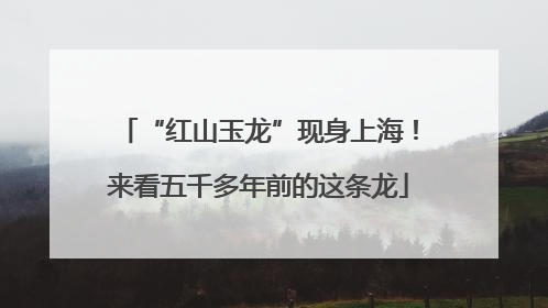 “红山玉龙”现身上海！来看五千多年前的这条龙