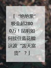 “绝绝紫”吸金超2800万！昆明如何接住蓝花楹这波“泼天富贵”？