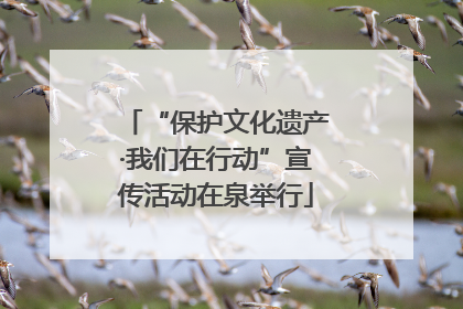 “保护文化遗产·我们在行动”宣传活动在泉举行