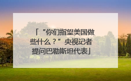 “你们指望美国做些什么？”央视记者提问巴勒斯坦代表
