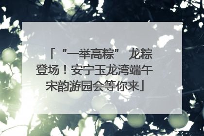 “一举高粽” 龙粽登场！安宁玉龙湾端午宋韵游园会等你来