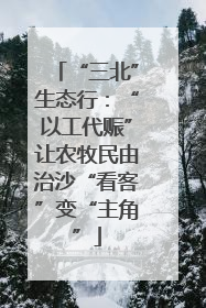 “三北”生态行：“以工代赈”让农牧民由治沙“看客”变“主角”