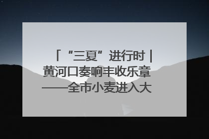 “三夏”进行时｜黄河口奏响丰收乐章——全市小麦进入大面积收获高峰期