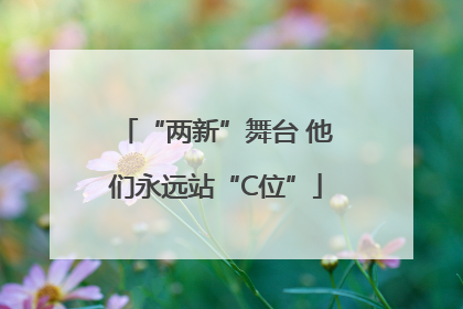 “两新”舞台 他们永远站“C位”