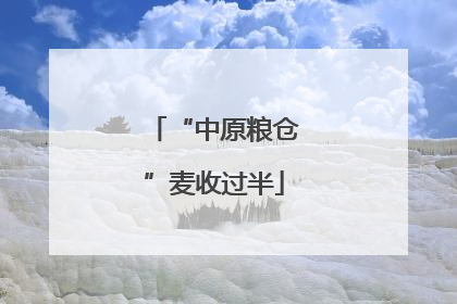 “中原粮仓”麦收过半