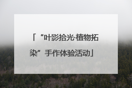 “叶影拾光·植物拓染”手作体验活动