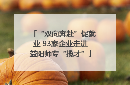 “双向奔赴”促就业 93家企业走进益阳师专“揽才”
