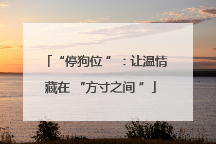 “停狗位 ”：让温情藏在 “方寸之间 ”
