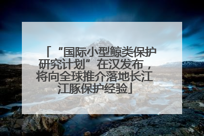 “国际小型鲸类保护研究计划”在汉发布，将向全球推介落地长江江豚保护经验