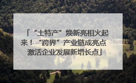 “土特产”焕新亮相火起来！“跨界”产业链成亮点 激活企业发展新增长点