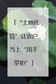 “土地托管”让农户当上“甩手掌柜”