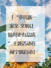“多民族一家亲 文明让银川更有品质”主题活动在闽宁镇启动