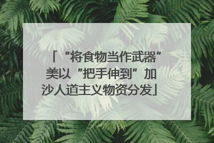 “将食物当作武器” 美以“把手伸到”加沙人道主义物资分发