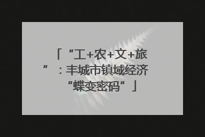 “工+农+文+旅”：丰城市镇域经济“蝶变密码”