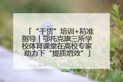 “干货”培训+精准指导丨鄂托克旗三所学校体育课堂在高校专家助力下“提质增效”