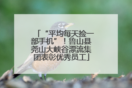 “平均每天捡一部手机”！鲁山县尧山大峡谷漂流集团表彰优秀员工