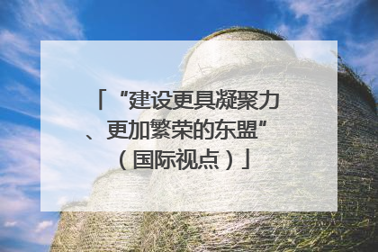 “建设更具凝聚力、更加繁荣的东盟”（国际视点）