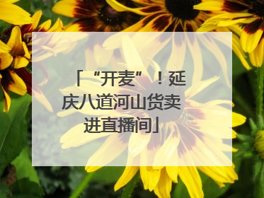 “开麦”！延庆八道河山货卖进直播间