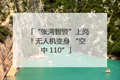 “张湾智警”上岗！无人机变身 “空中 110”