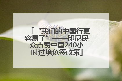 “我们的中国行更容易了”——印尼民众点赞中国240小时过境免签政策