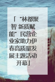 “林都聚智 新质赋能”民营企业家助力伊春高质量发展主题活动开幕