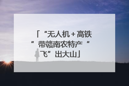 “无人机＋高铁”带赣南农特产“飞”出大山