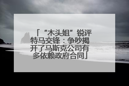 “木头姐”锐评特马交锋：争吵揭开了马斯克公司有多依赖政府合同