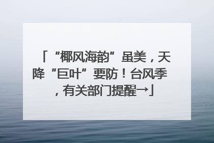 “椰风海韵”虽美，天降“巨叶”要防！台风季，有关部门提醒→