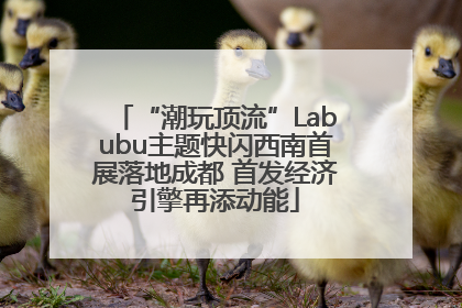 “潮玩顶流”Labubu主题快闪西南首展落地成都 首发经济引擎再添动能