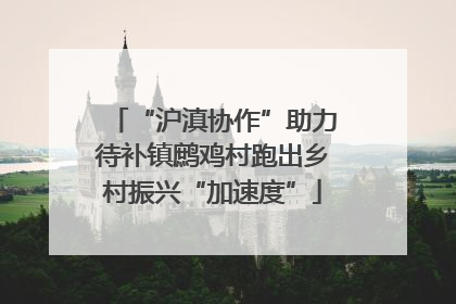 “沪滇协作”助力待补镇鹧鸡村跑出乡村振兴“加速度”