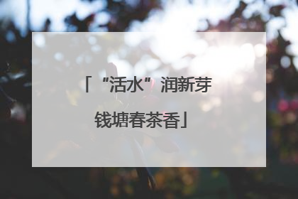 “活水”润新芽 钱塘春茶香