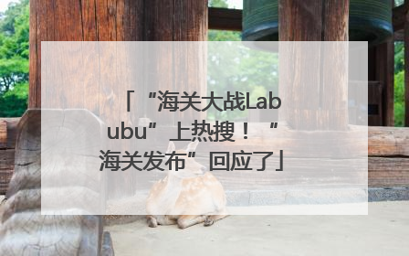“海关大战Labubu”上热搜！“海关发布”回应了
