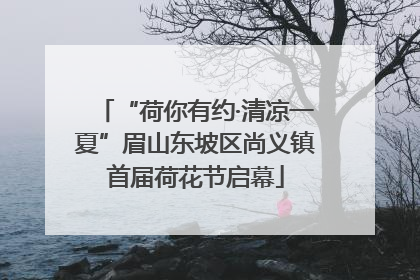 “荷你有约·清凉一夏”眉山东坡区尚义镇首届荷花节启幕