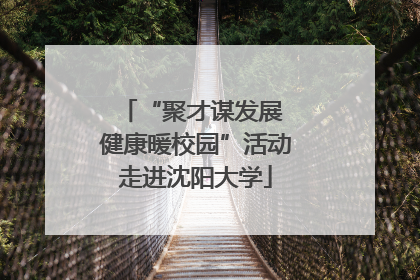 “聚才谋发展 健康暖校园”活动走进沈阳大学