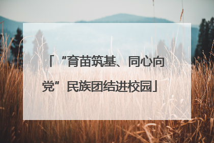 “育苗筑基、同心向党”民族团结进校园