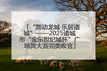 “舞动龙城·乐居诸城”——2025诸城市“金东世纪城杯”广场舞大赛完美收官